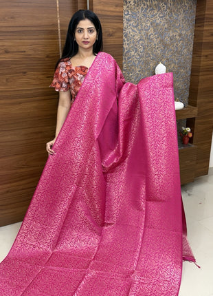 Border Less Kanchi Silk