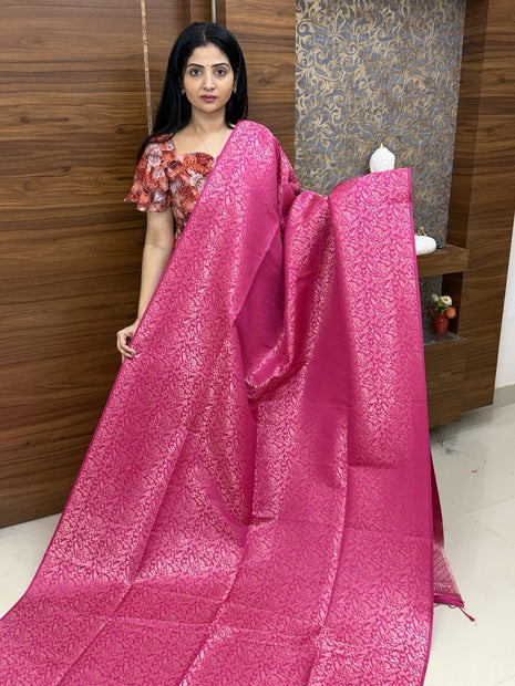 Border Less Kanchi Silk