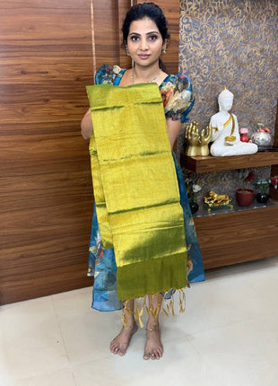 Tissue Saree