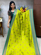 Pashmina