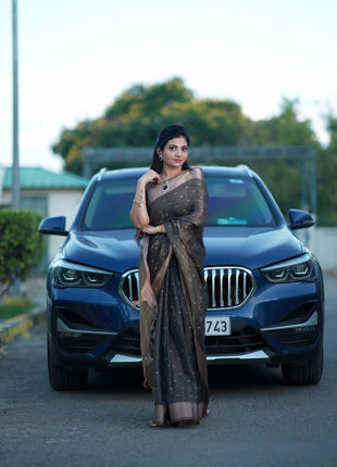 Handloom Linen Saree
