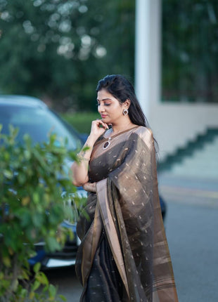 Handloom Linen Saree