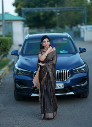 Handloom Linen Saree