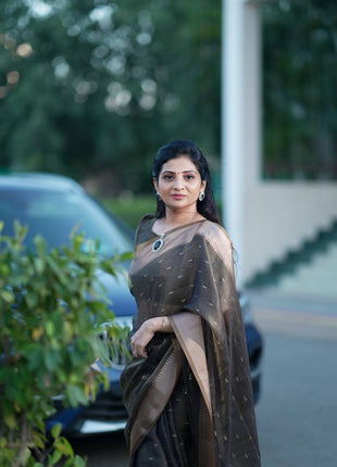 Handloom Linen Saree