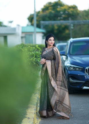 Handloom Linen Saree