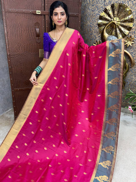 Kanchi Silk