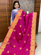 Premium Kanchi Gold Zari Pallaku Design