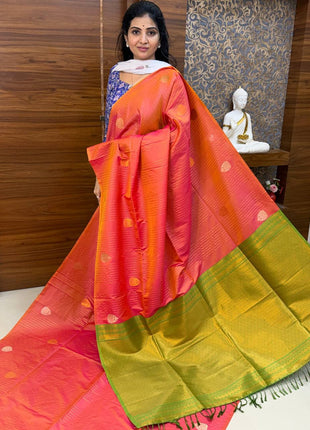 Border Less Kanchi Silk