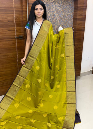 Vintage Premium Kanchi