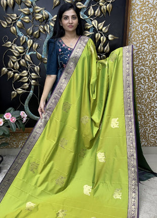 Kanchi Silk