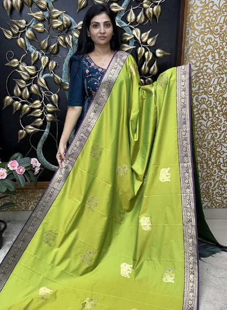 Kanchi Silk
