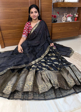 Lehenga Full Stitched
