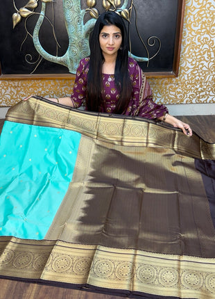 Premium Kanchi