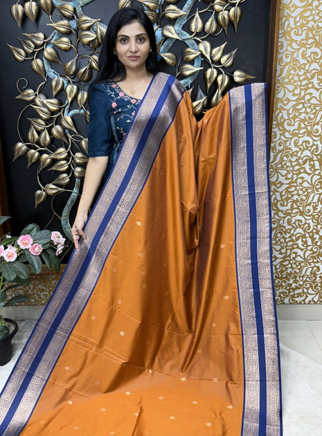 Kanchi Silk