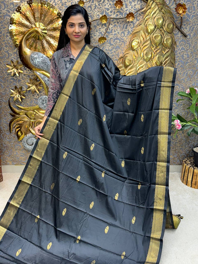 Semi kanchipuram Silk