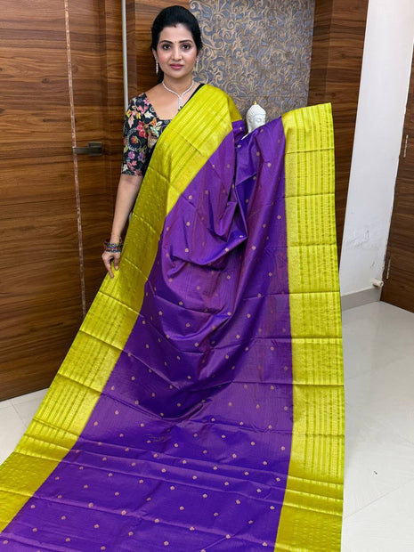 Vaira Oosi Gold Zari