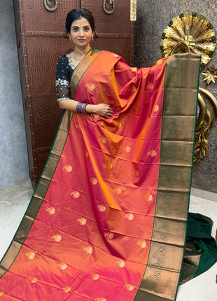 Premium Kanchi