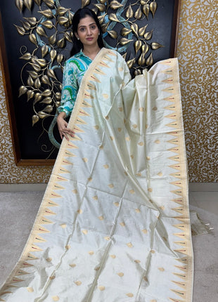 Tussar Silk