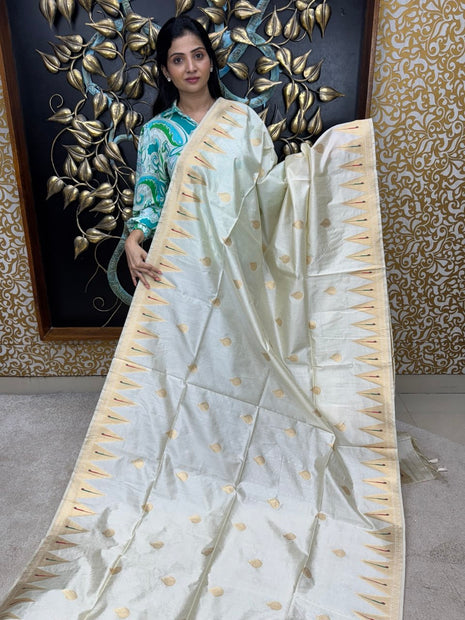 Tussar Silk