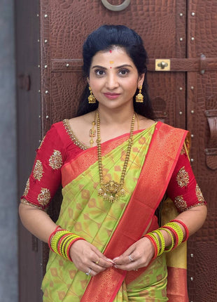 Pure Ikkat Pochampally