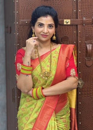 Pure Ikkat Pochampally