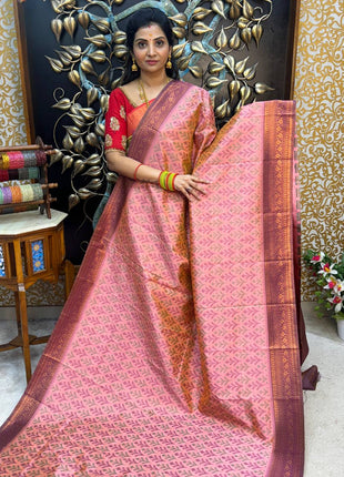 Pure Ikkat Pochampally