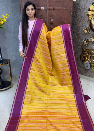 Kanchi Silk