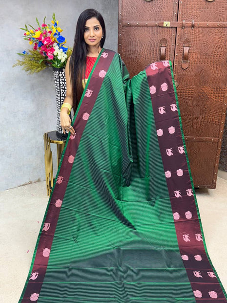 Kanchi Silk
