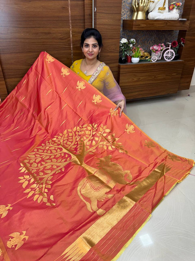 Kanchi Soft Silk