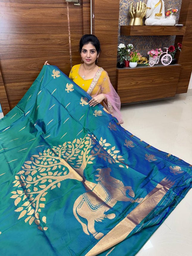 Kanchi Soft Silk