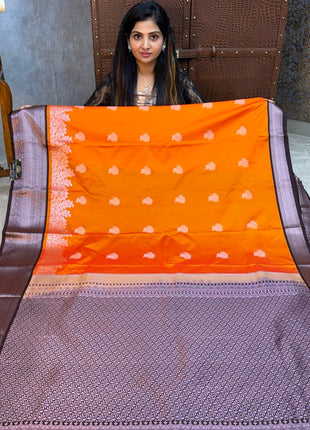 Premium Kanchi Silver Zari Coffee Brown Border