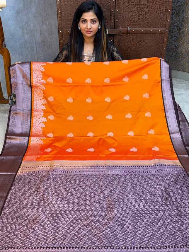 Premium Kanchi Silver Zari Coffee Brown Border