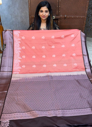 Premium Kanchi Silver Zari Coffee Brown Border