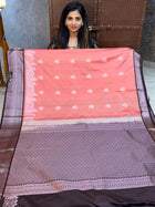 Premium Kanchi Silver Zari Coffee Brown Border