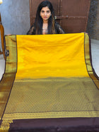 Premium Kanchi Gold Zari Coffee Brown Border