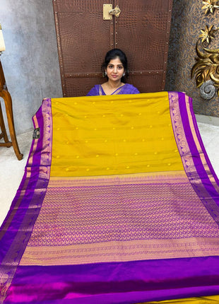 Vaira Oosi Gold Zari