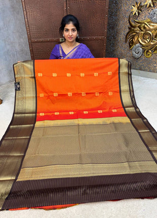 Premium Kanchi Gold Zari Coffee Brown Border