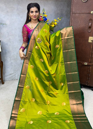 Premium Kanchi