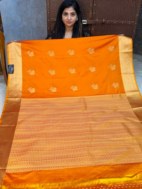 Premium Kanchi Gold Zari