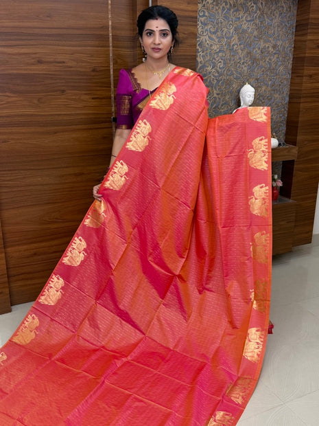 Kanchi Soft Silk