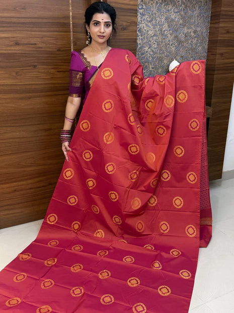 Border Less Kanchi Silk