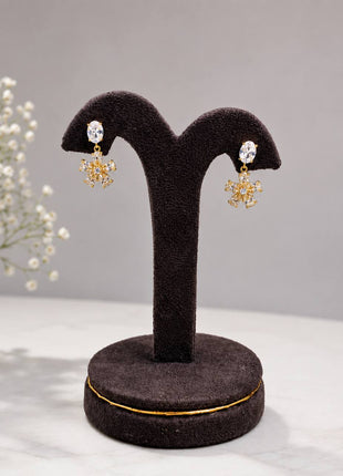 Fancy Earring