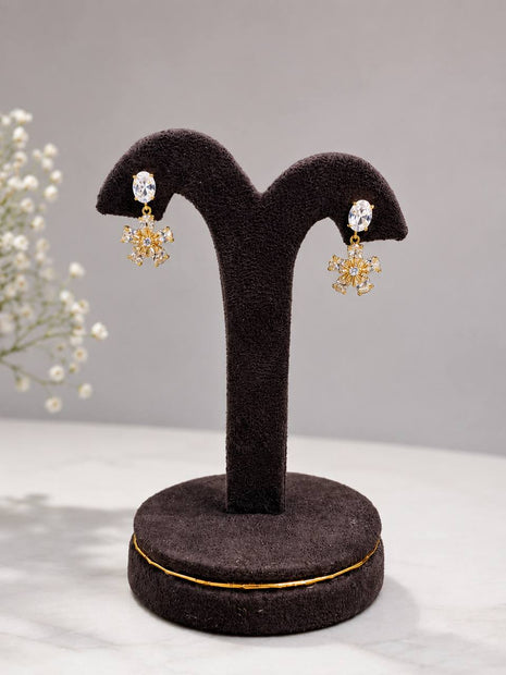 Fancy Earring