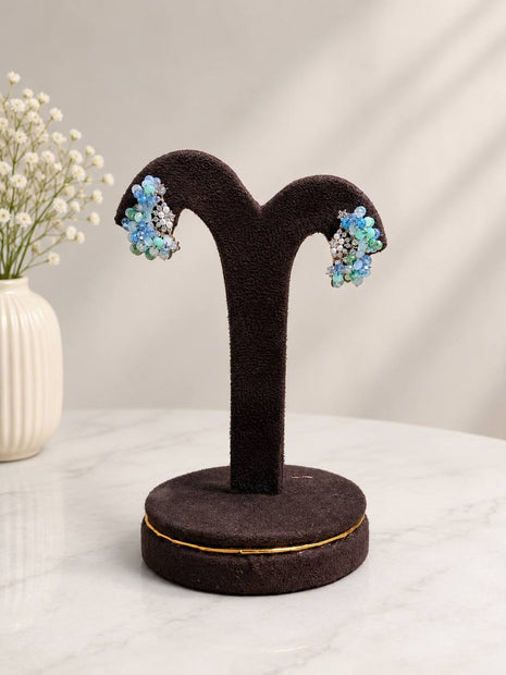 Fancy Earring