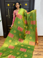 Kanchi Pochampally Silk
