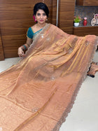 Fendi Designer Saree