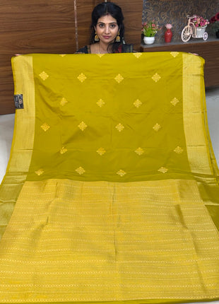 Premium Kanchi