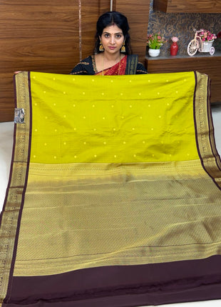 Vaira Oosi Gold Zari  Coffee Brown Border