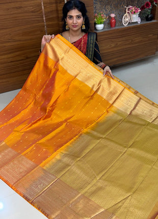 Premium Kanchi