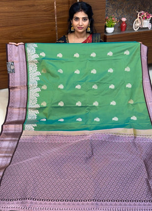 Premium Kanchi Silver Zari Coffee Brown Border